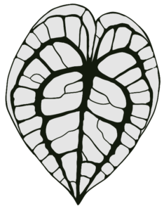 Anturio_Logo_Nervadura_Negra