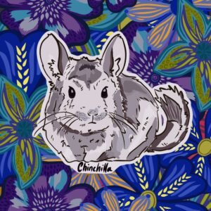 Ilustración Chinchilla