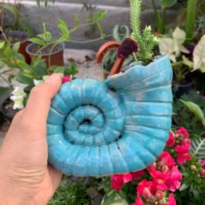 Maceta Caracol Fósil
